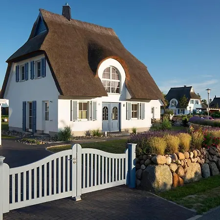 Schilfrohrsaenger 30 * Fuhlendorf (Mecklenburg-Vorpommern)