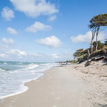 펜션 Schilfrohrsaenger 30 *