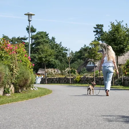 펜션 Schilfrohrsaenger 30 *