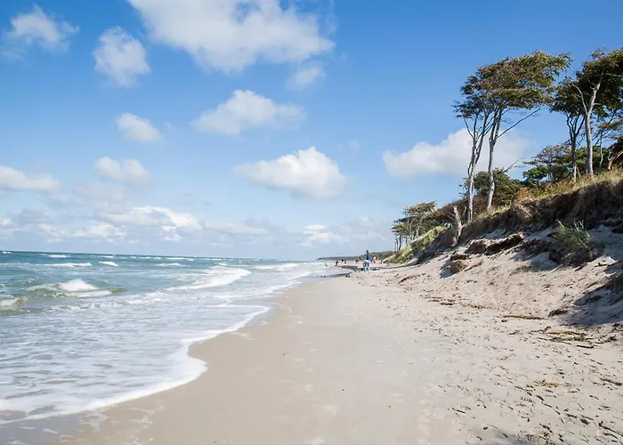 Σπίτι διακοπών Schilfrohrsaenger 30 *