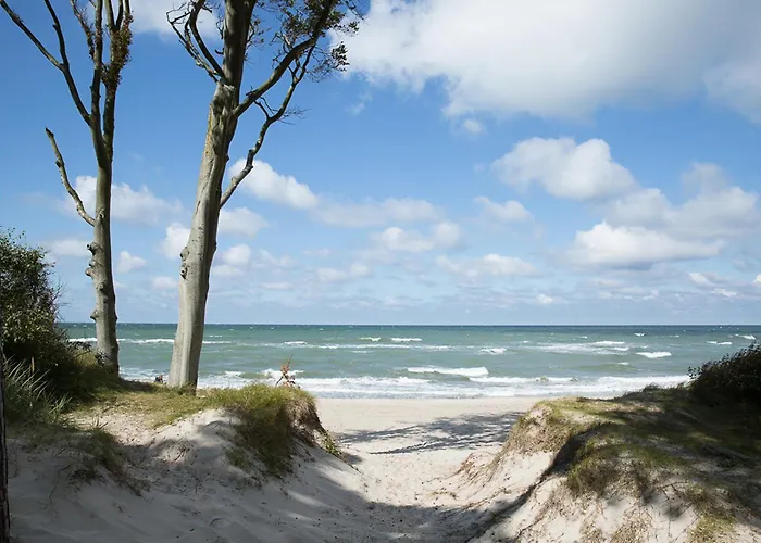 Schilfrohrsaenger 30 * Fuhlendorf (Mecklenburg-Vorpommern)