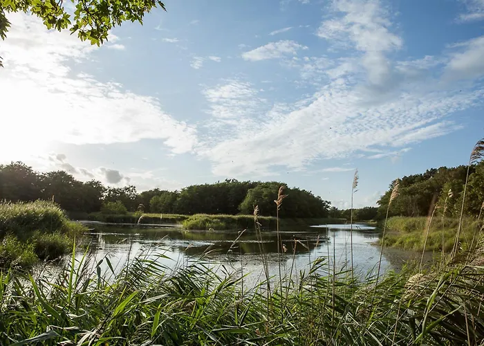 Σπίτι διακοπών Schilfrohrsaenger 30 *