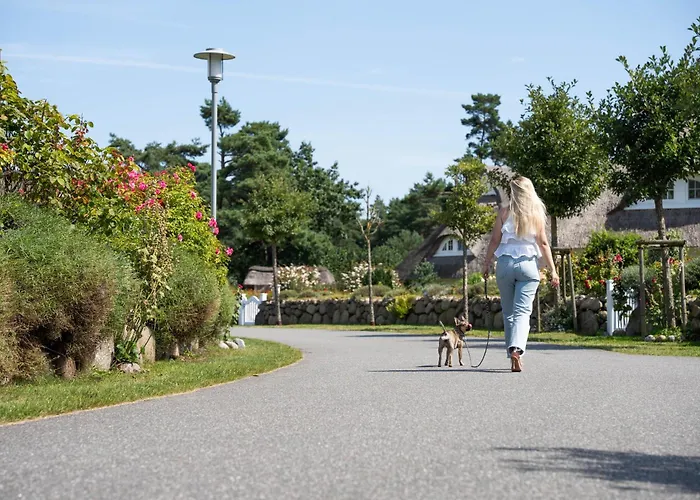 Σπίτι διακοπών Schilfrohrsaenger 30 *